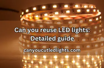 Can you reuse LED lights: Detailed guide