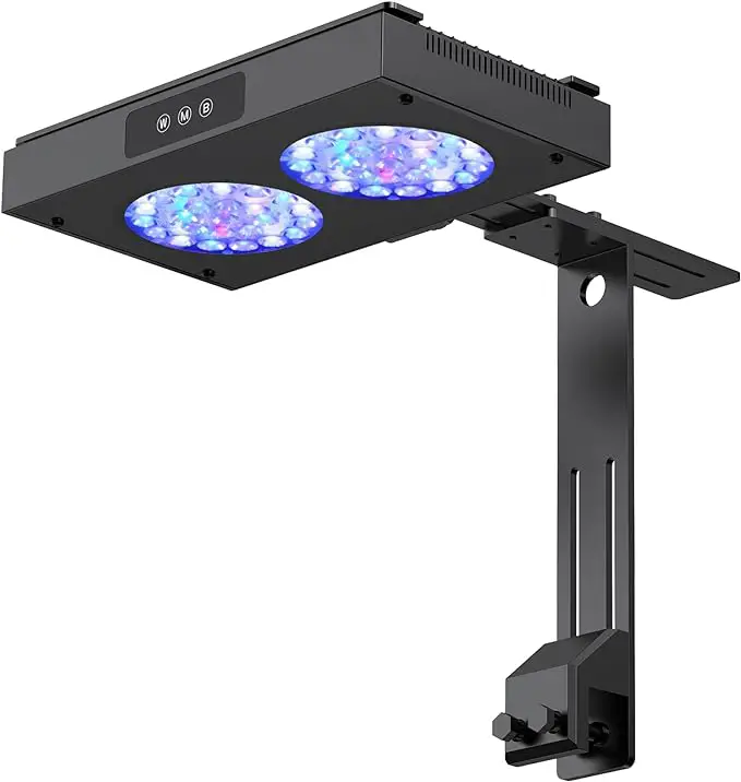 Best LED Reef Lights: a detailed guide